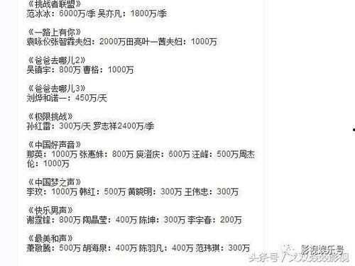 明星价格表 网络爆料,网络爆料揭示明星出场费内幕